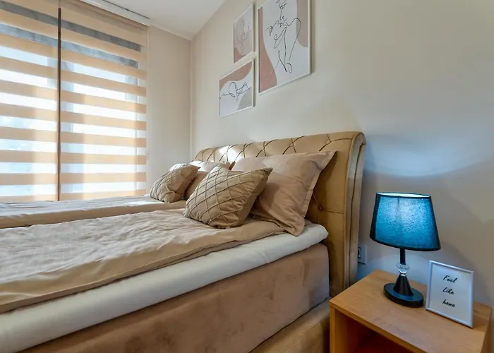 Stek Hills * Zlatibor